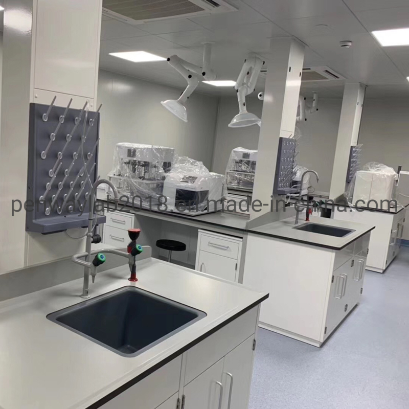 Steel Cabinet Science Lab Furniture Lab Table/ Phenolic Top (2500L*750Wmm) Black &amp; Offwhite