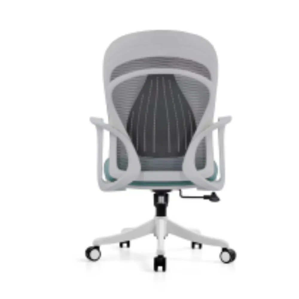 Ergonomic Office Chair View 1