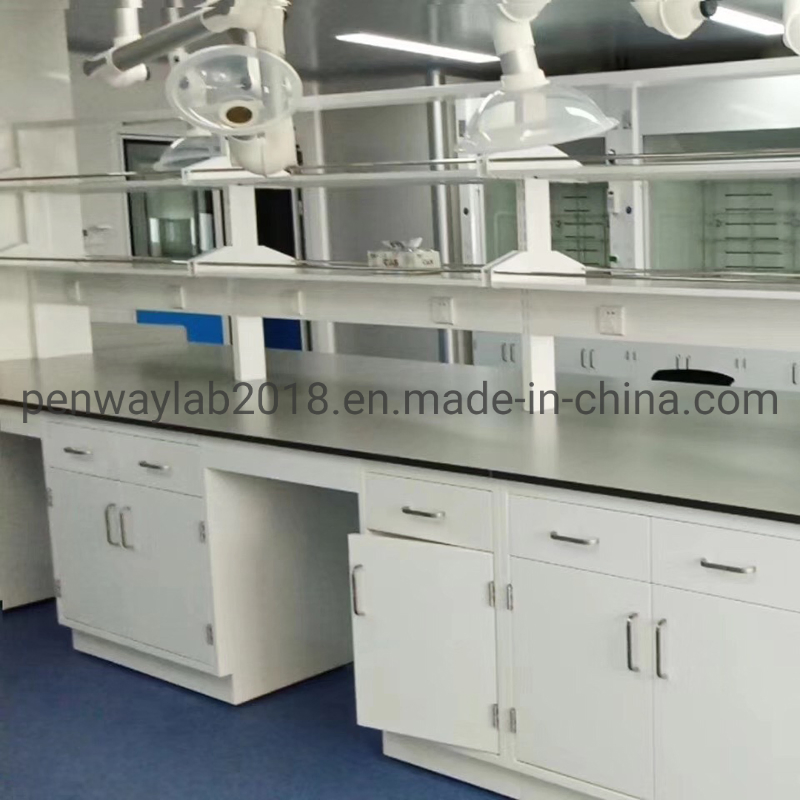 Steel Cabinet Science Lab Furniture Lab Table/ Phenolic Top (2500L*750Wmm) Black &amp; Offwhite