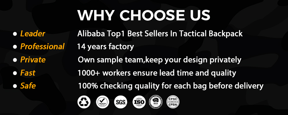 Related Product Showcase