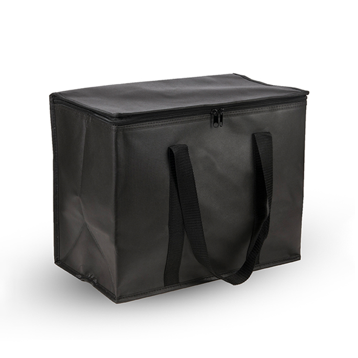 Cooler Bag