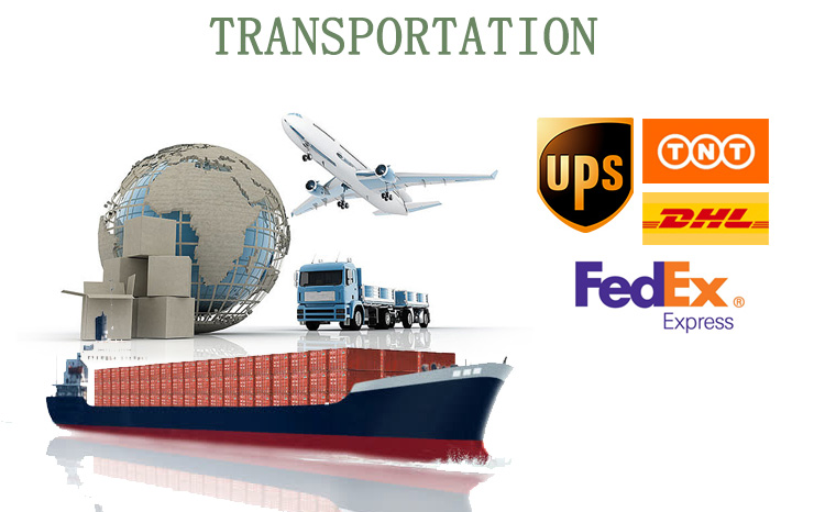 Organized Warehouse Shipping Area