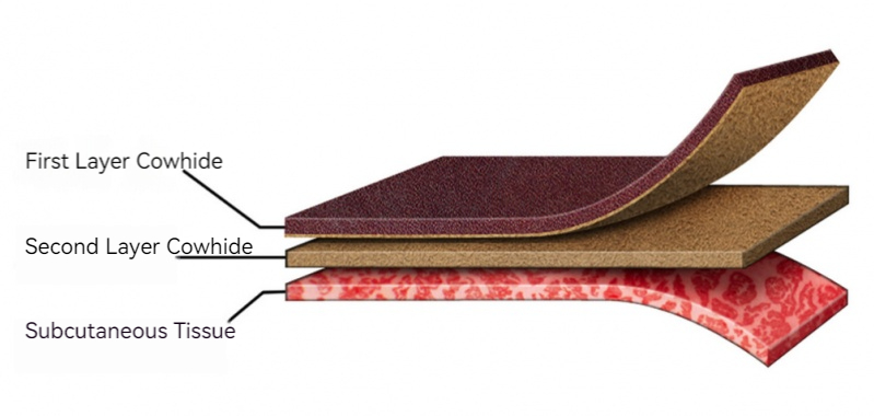 Genuine leather texture details