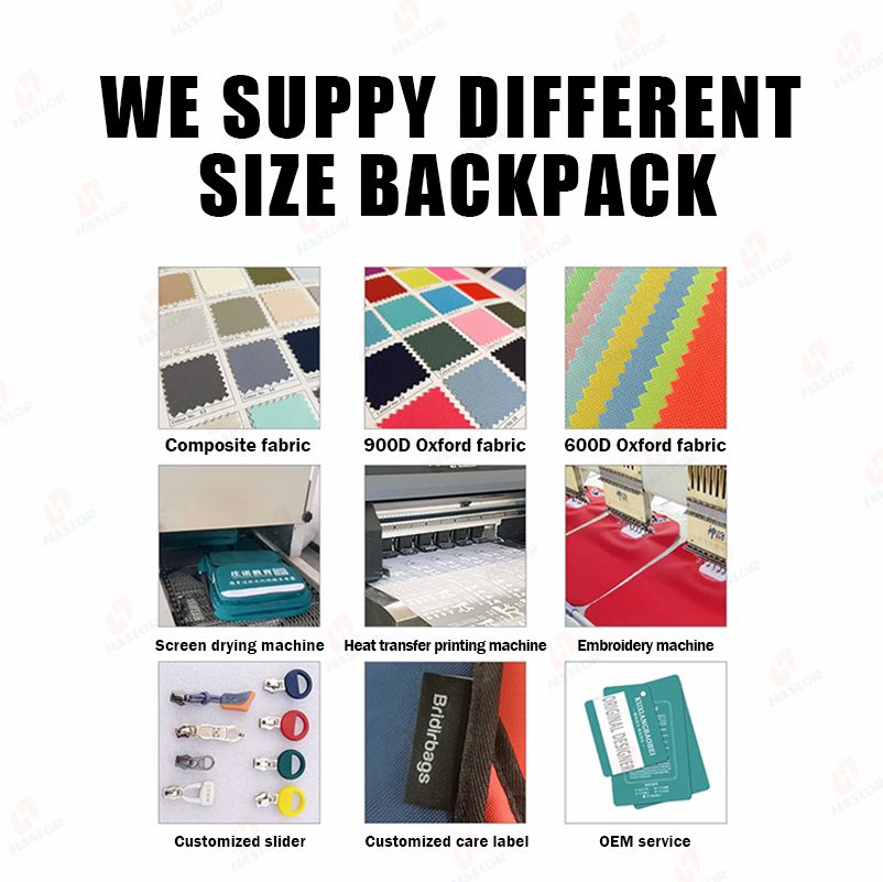 Haslor 2026 Factory OEM Custom Logo Backpack Manufacturer Low MOQ 30 Pcs Fast Custom Supplier Student Backpack