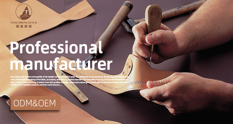 Product Specification Display