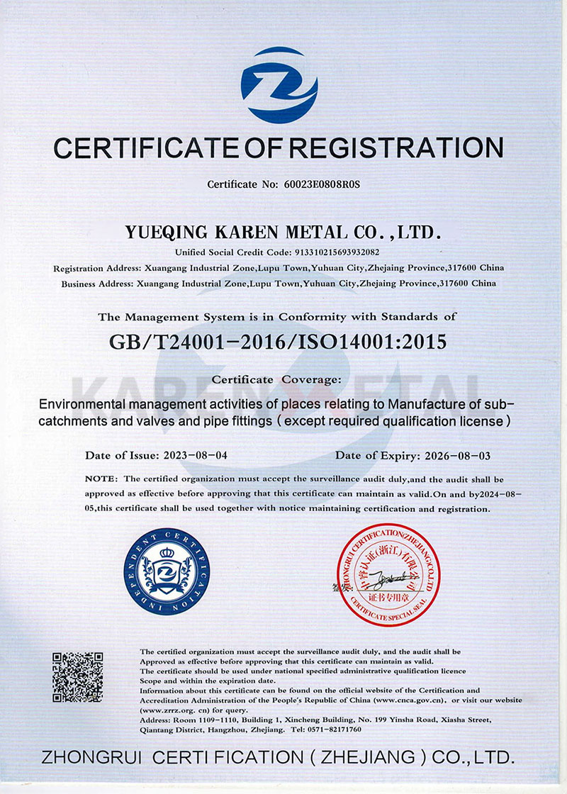 Certificate 6