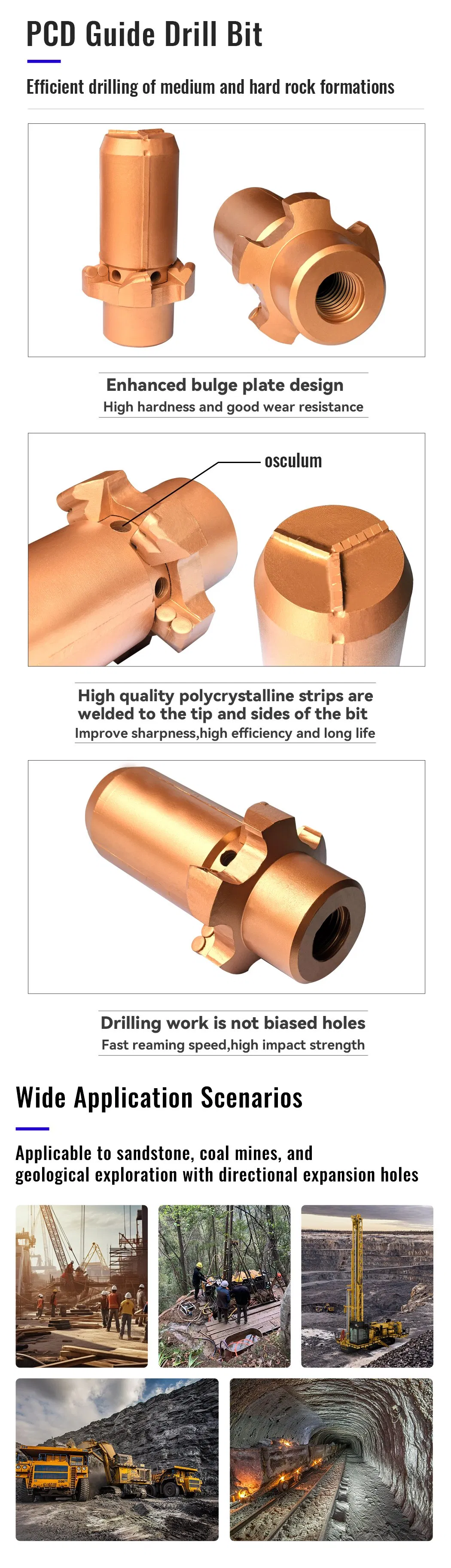 PDC Bit Process