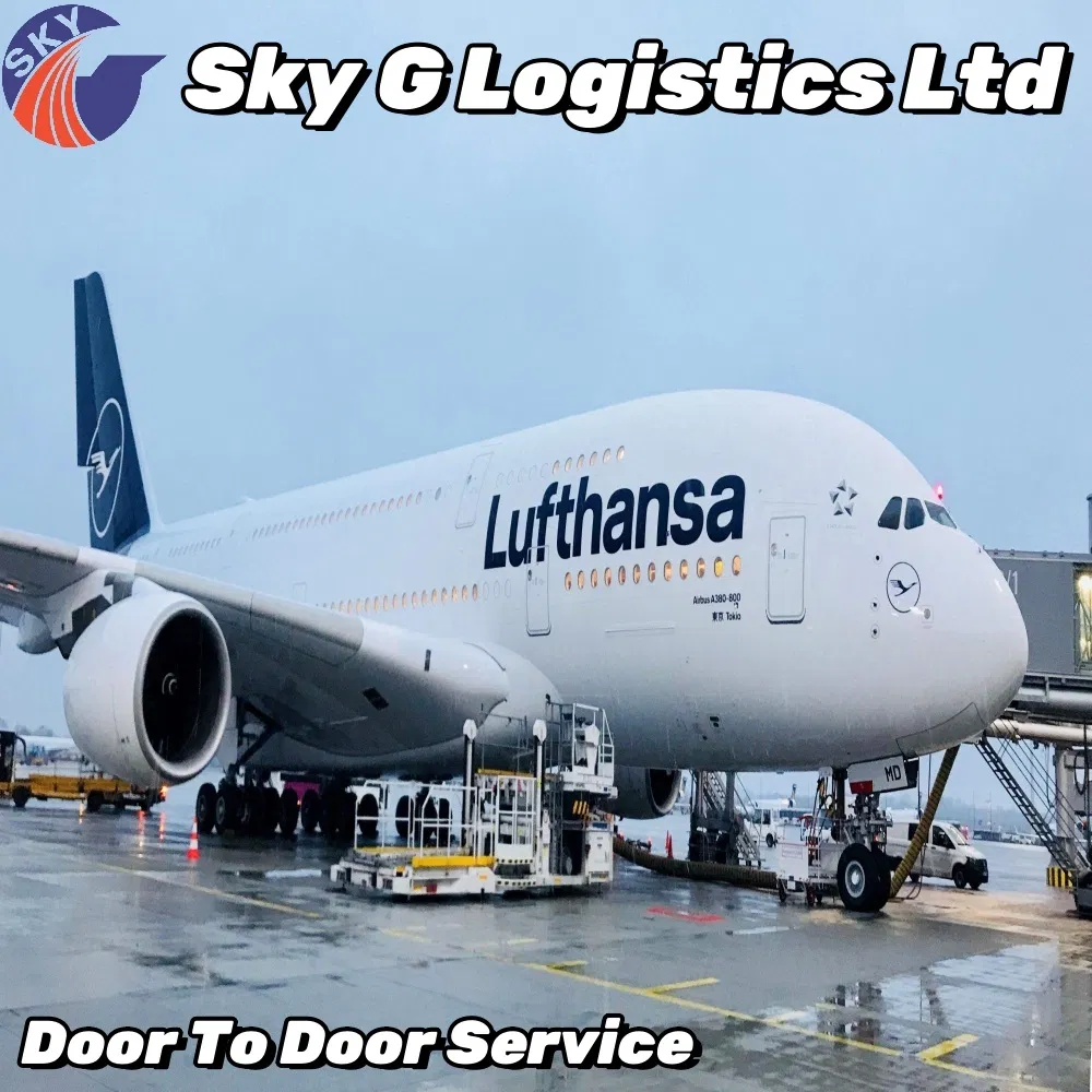 Professional China Shipping Forwarder Door to Door Shipment to Boston Fast Air Freight