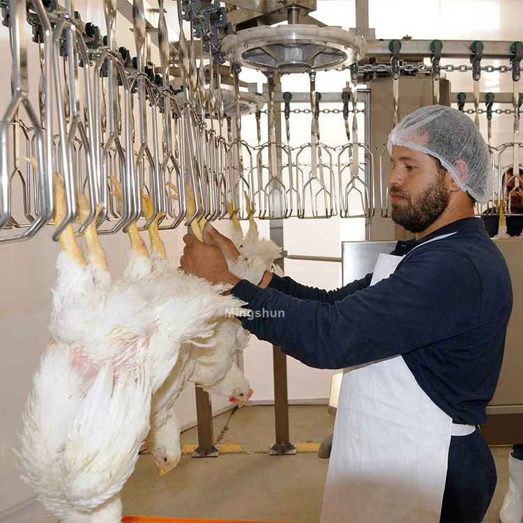 New Design 304 Stainless Steel Duck Goose Poultry Slaughter Equipment Chicken Turkey Killing Processing Line