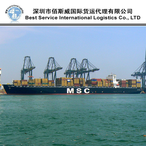 Safe and Cheapest Ocean Shipping International Forwarder Freight to Sea Fright From China to Dominican Republic, Saint Kitts and Nevis