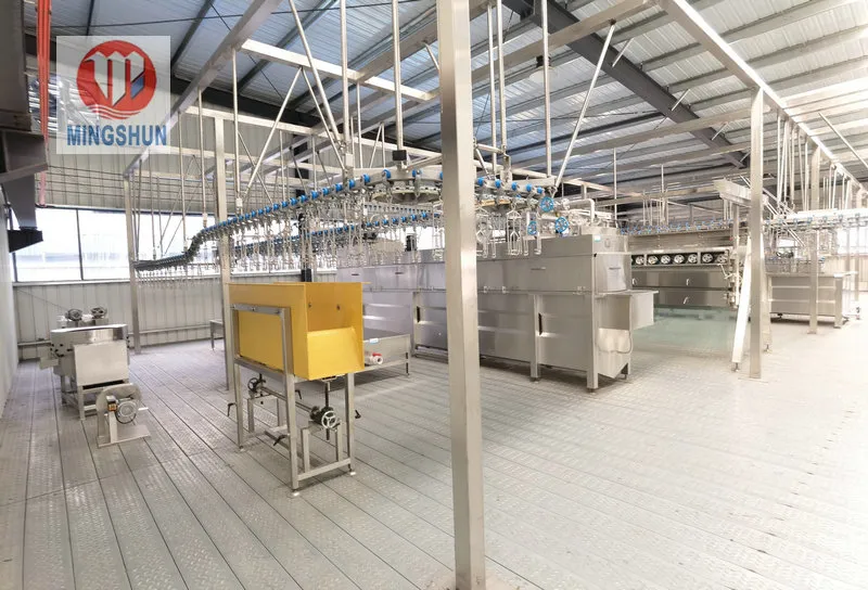 Chicken Processing Photo 3