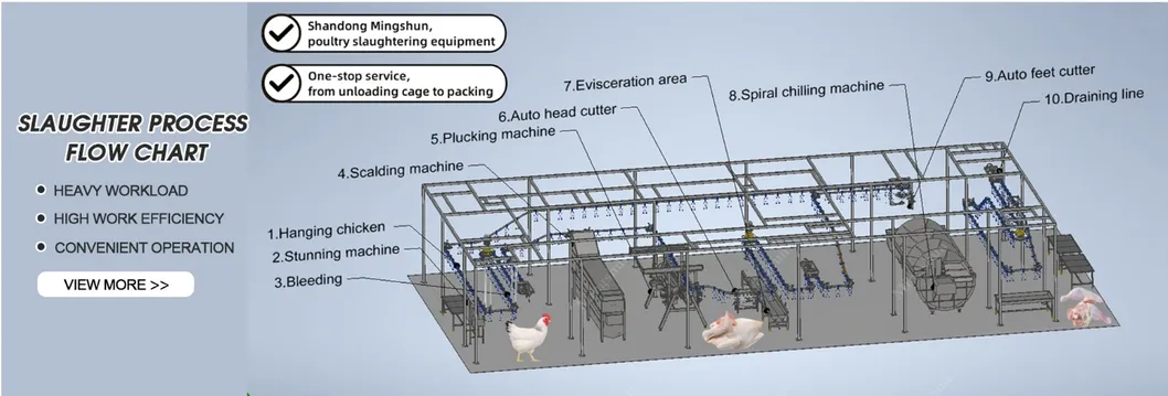 Advanced Poultry Processing Line for Efficient Chicken Slaughter