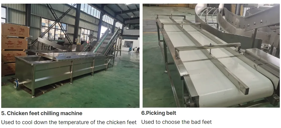 Processing Equipment 3