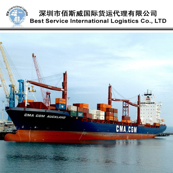 Fast and Reliable Sea Freight, Logistics Companies From China to Mexico, Mexico City/ Manzanillo, Guatemala, Belize