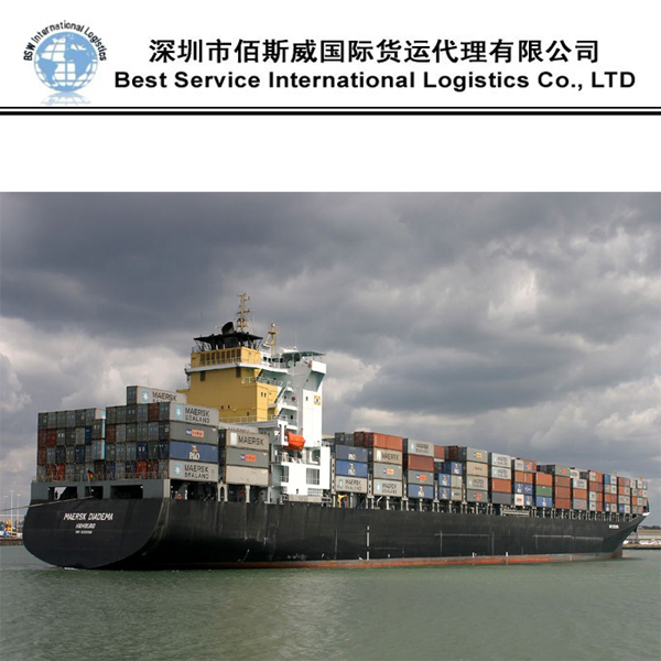 Sea Freight/Freight Forwarder/Logistic Service/Shipping Agent China to Egypt, Sokhna, Alexandria, Port Said, Damietta DDU/DAP/DDP