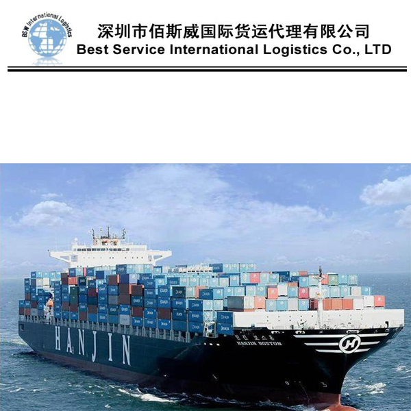 Safe and Cheapest Ocean Shipping International Forwarder Freight to Sea Fright From China to Dominican Republic, Saint Kitts and Nevis
