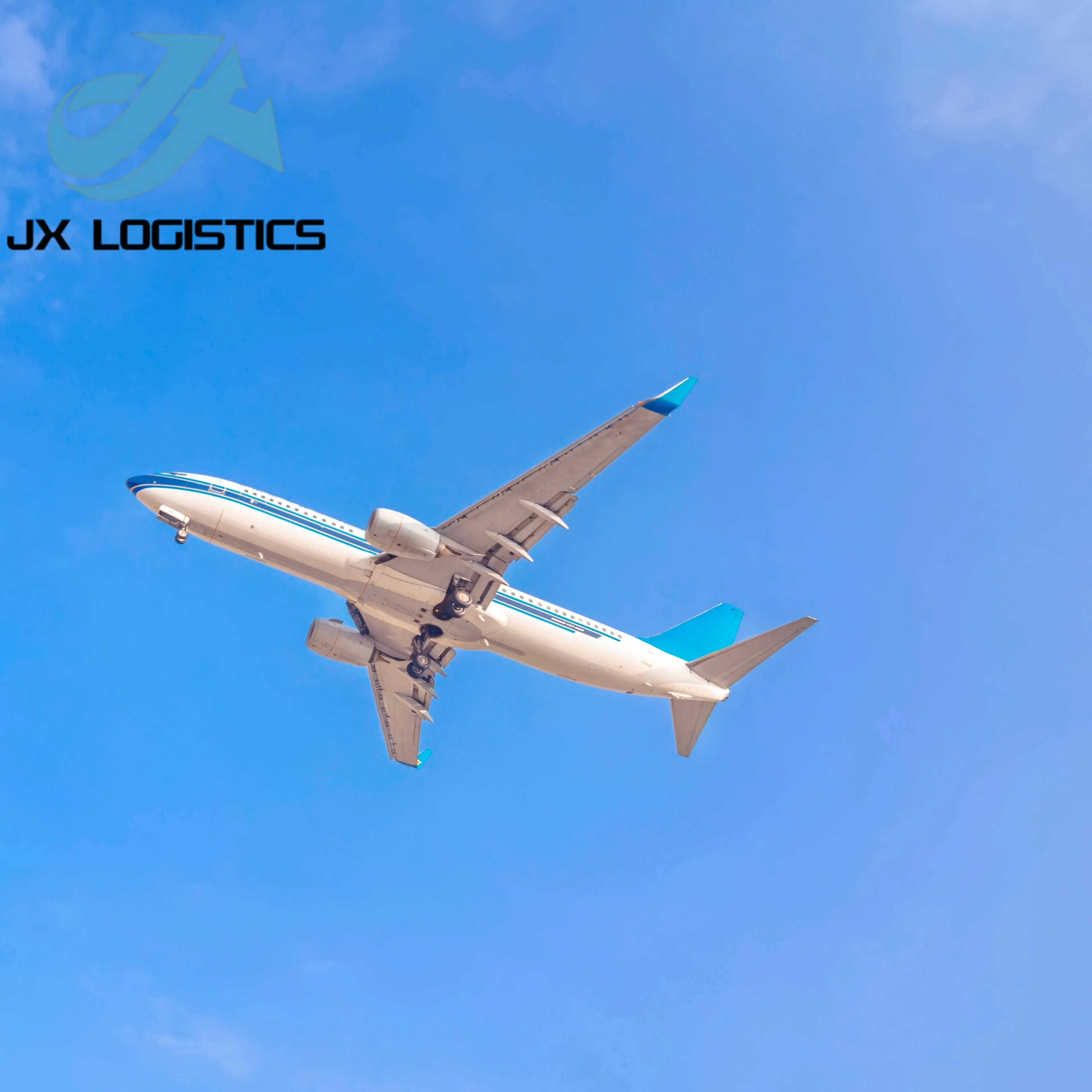 International Freight Forwarding Service for Air and Sea Transportation
