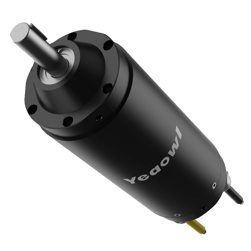 24/48V 100W 370W 500W Customized Cold Chain Logistics Temperature Control Motor IP68