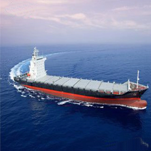 Sea Shipping Logistics From China