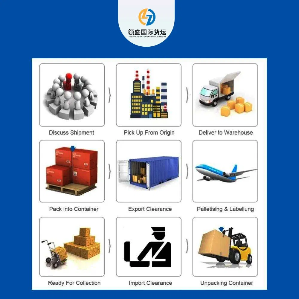 Freight Forwarding Services From China to Saudi Arabia/Middle East; DDP Ocean Freight