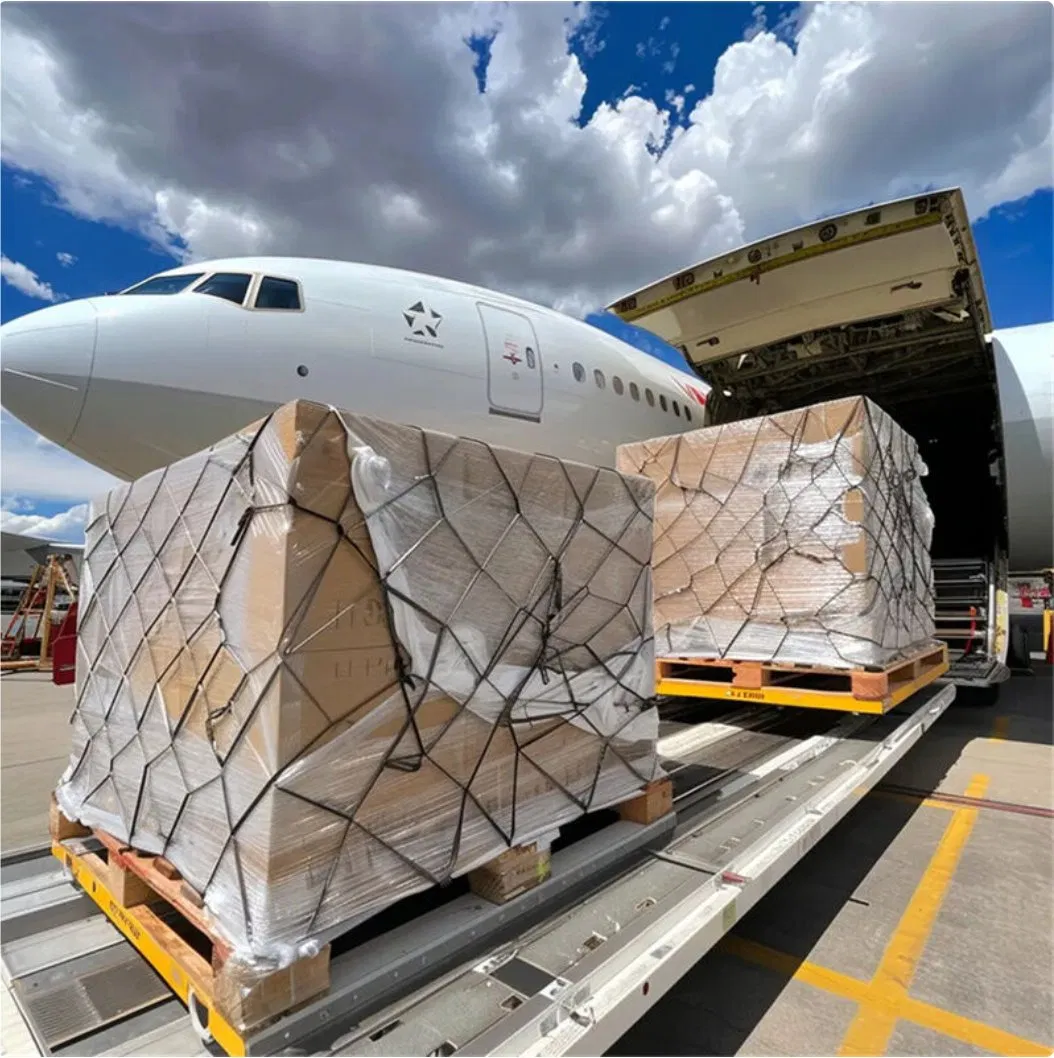 Professional China Shipping Forwarder Door to Door Shipment to Singapore Fast Air Freight