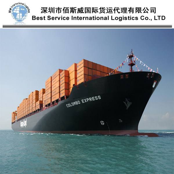 Ocean Freight Forwarder Sea Logistics Shipping From China to Algeria, Durres DDU/DAP/DDP
