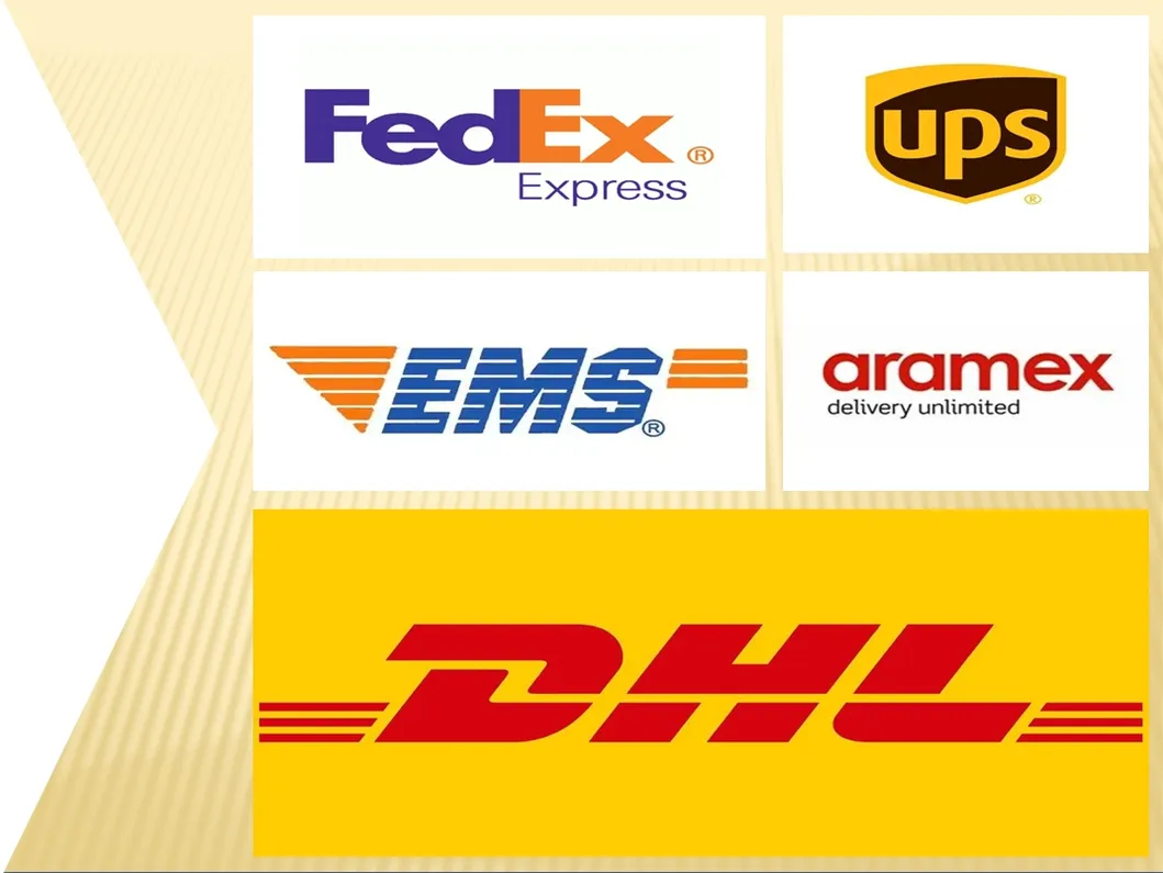 Express Delivery Services