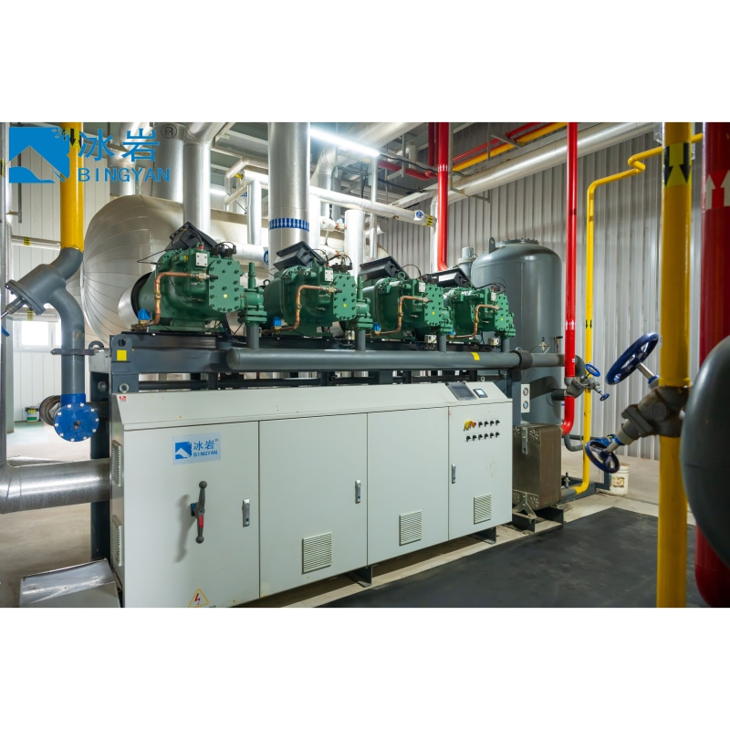 Customized Fruit Vegetable Meat Seafood Cold Storage Equipment Price Construction Freezing Room Big/Medium Freezer Cold Room for Frozen Low-Temperature Storage