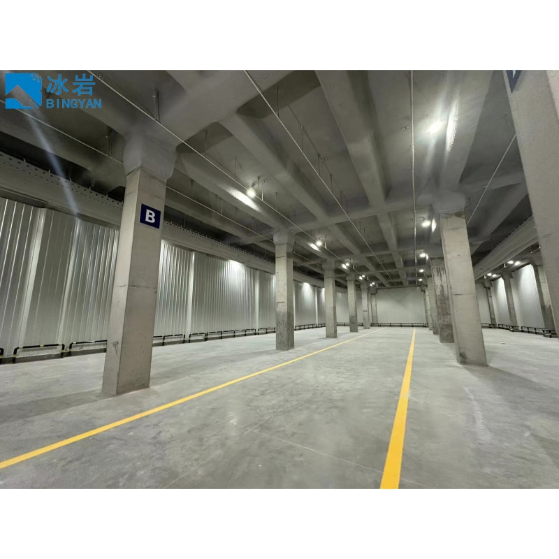 Refrigeration Compressor Unit System Blast Freezer Chiller Cool Rapid Freezing Cold Storage Equipment Price Room for Meat Fish Vegetable Fruit