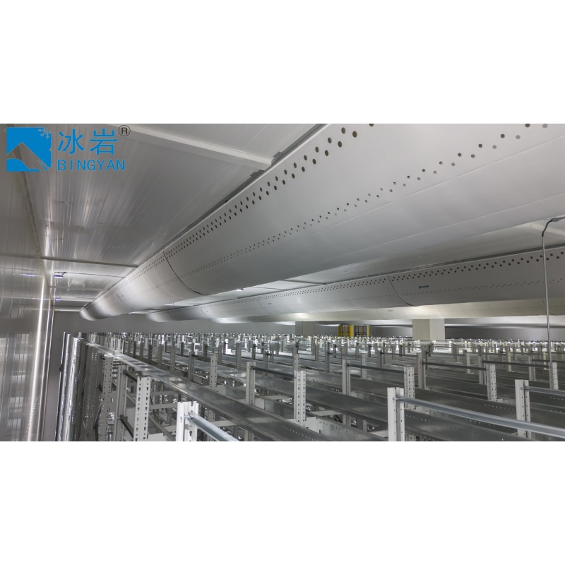 Customized Fruit Vegetable Meat Seafood Cold Storage Equipment Price Construction Freezing Room Big/Medium Freezer Cold Room for Frozen Low-Temperature Storage