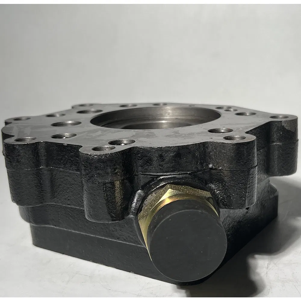 2BS315.30.2 803004322 860302480 Japan China Chinese Variable Speed Pump Assembly