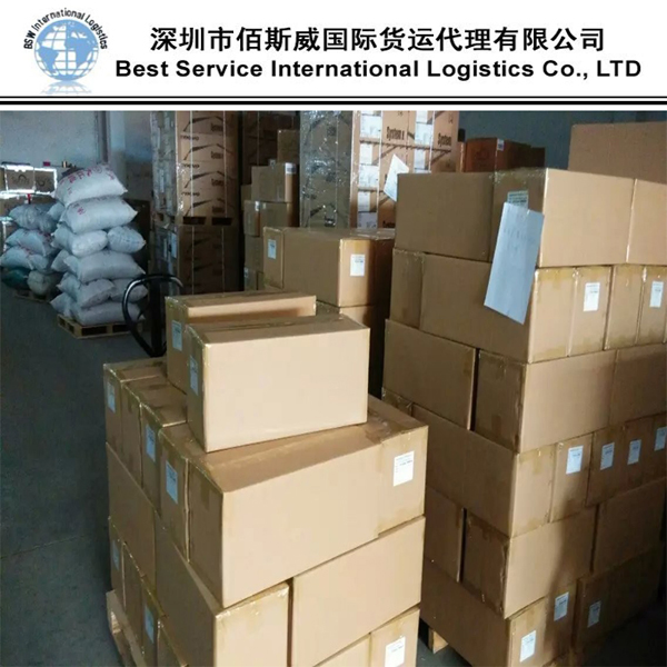 Ocean Freight Forwarder Sea Logistics Shipping From China to Algeria, Durres DDU/DAP/DDP