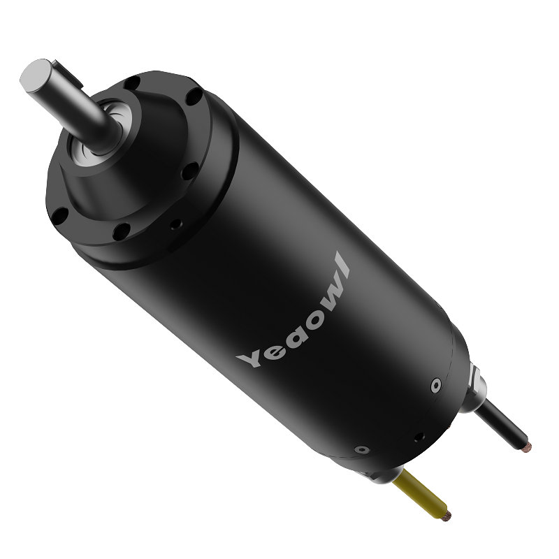 24/48V 100W 370W 500W Customized Cold Chain Logistics Temperature Control Motor IP68