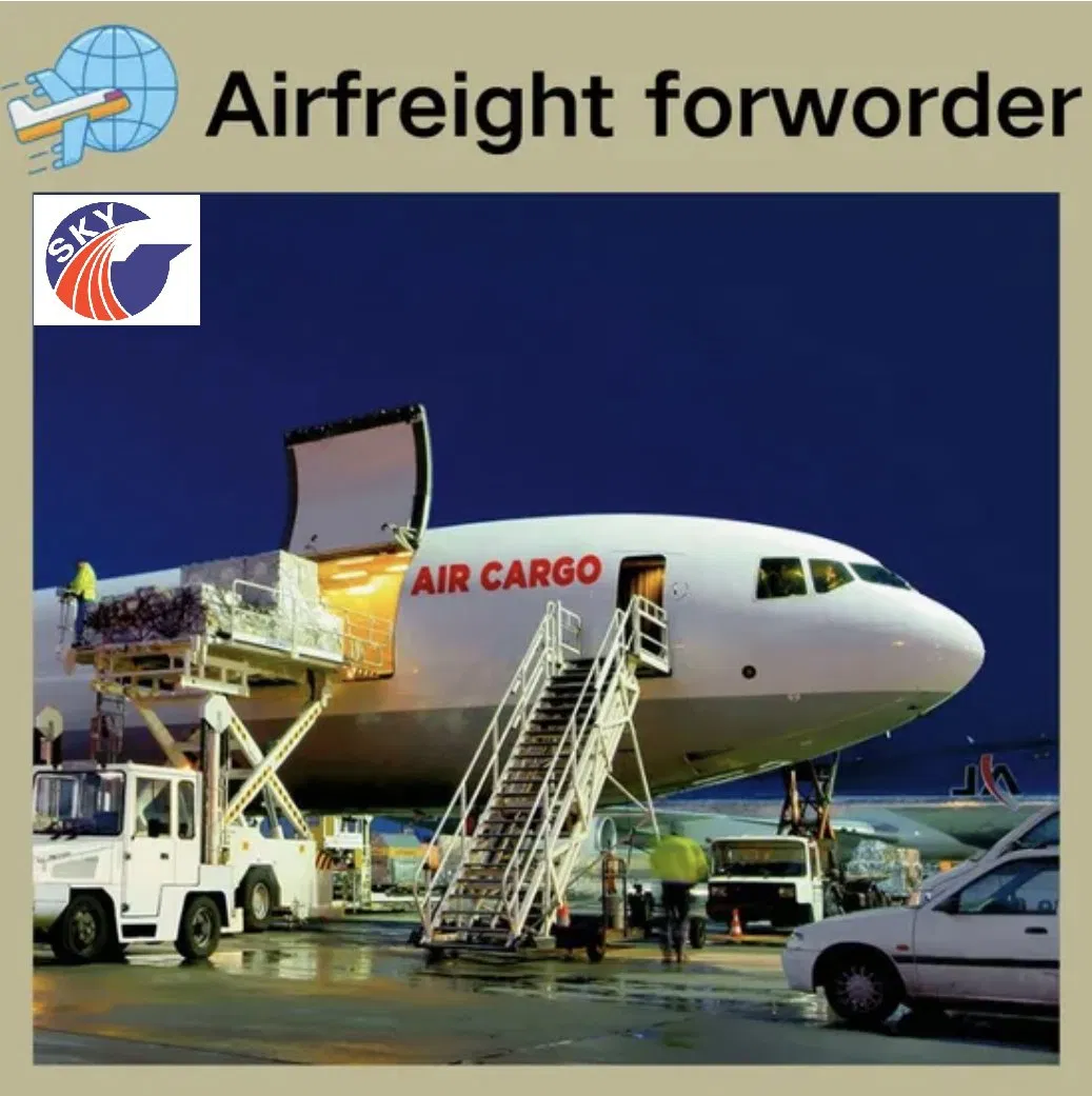 Professional China Shipping Forwarder Door to Door Shipment to Singapore Fast Air Freight