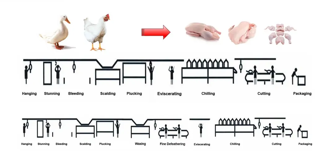 Poultry Slaughter Equipment