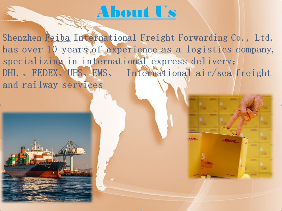 Shipping Agent DHL DDP Shipping Inspection Freight Forwarder Logistics Cargo Shipping From China to Saudi Arabia/UAE Middle East