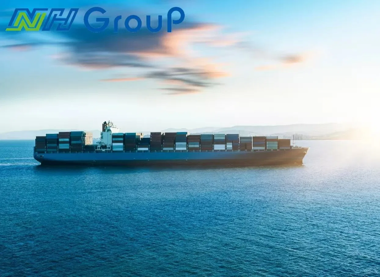 International Logistics Sea Transportation Shipping