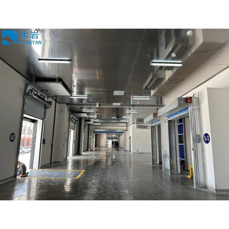 Refrigeration Compressor Unit System Blast Freezer Chiller Cool Rapid Freezing Cold Storage Equipment Price Room for Meat Fish Vegetable Fruit