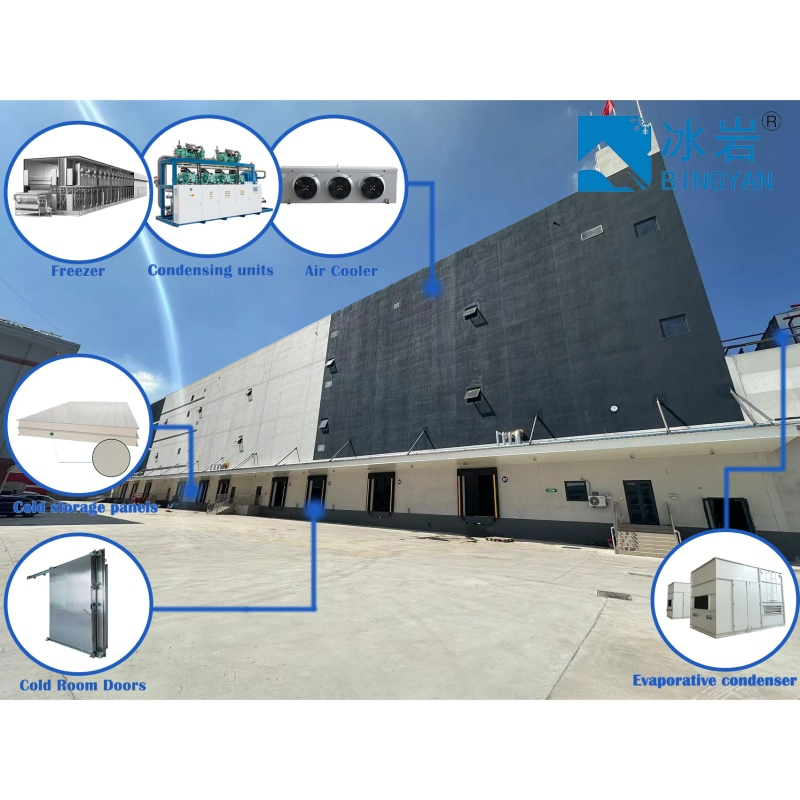 Refrigeration Compressor Unit System Blast Freezer Chiller Cool Rapid Freezing Cold Storage Equipment Price Room for Meat Fish Vegetable Fruit