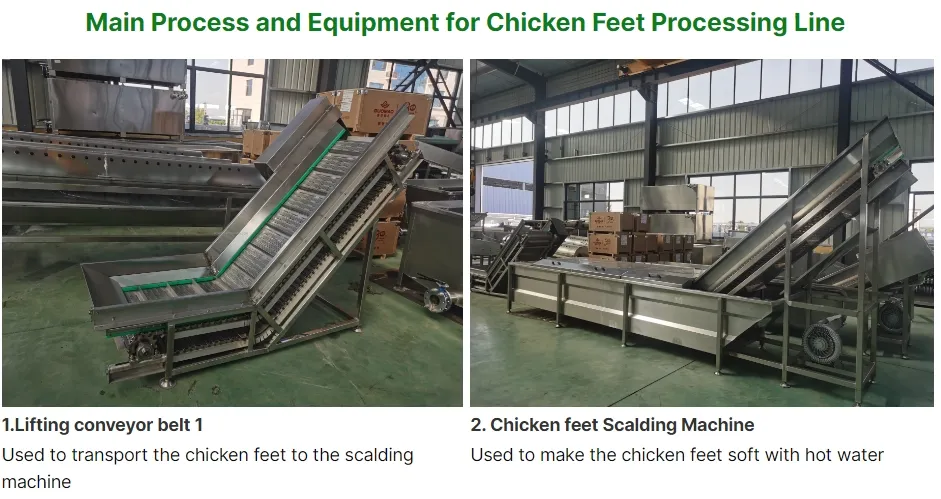 Processing Equipment 1