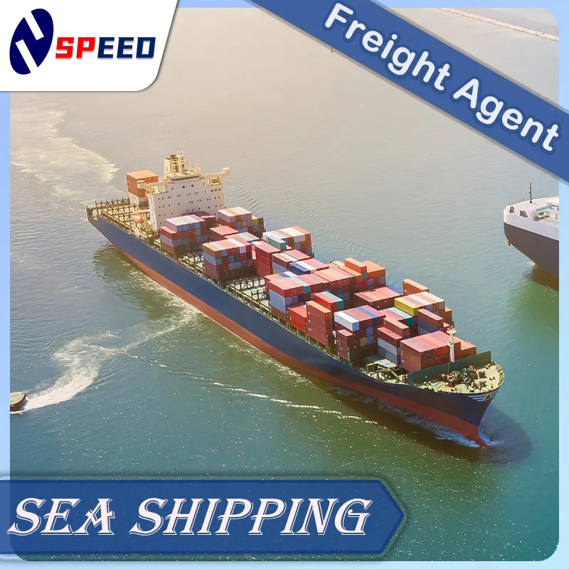 China Logistics Companies to Dubai, Jebel Ali, Sharjah, Abu Dhabi Sea Freight Forwarder Shipping DDU DDP Door to Door Service