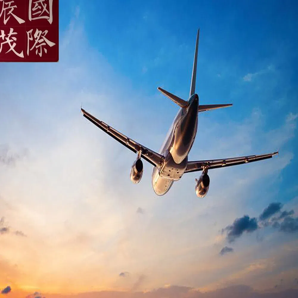 S Z X-D E L Air Shipping From Shanghai in China to Indira Gandhi International Airport in India