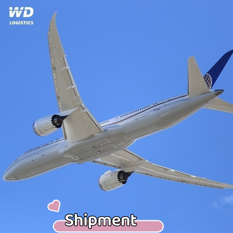 Best Sea Air Freight Forwarder Agent Shipping Logistics Company From Shanghai Shenzhen Guangzhou Xiamen China to Brazil Argentina Peru South America