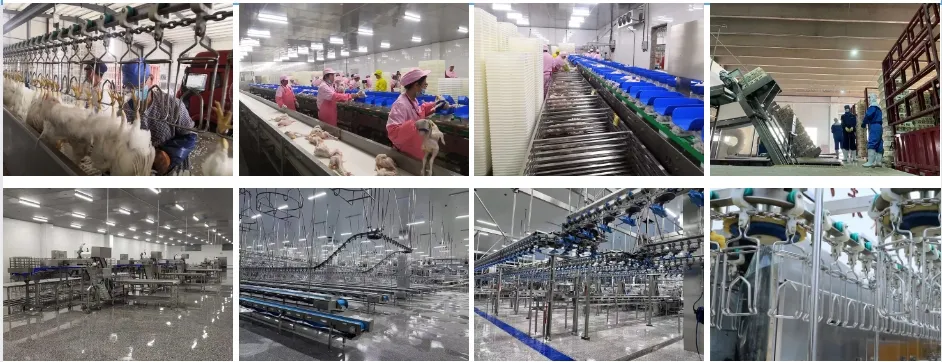 Customer Installation Site