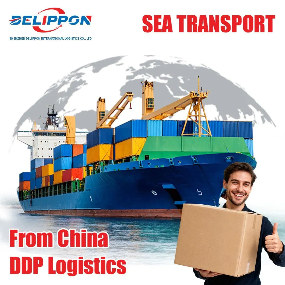 China to USA &amp; Canada Shipping Agent 1688 Purchasing Agent Best Sea/Air Freight From Shanghai Qingdao Shenzhen with Lowest Rates