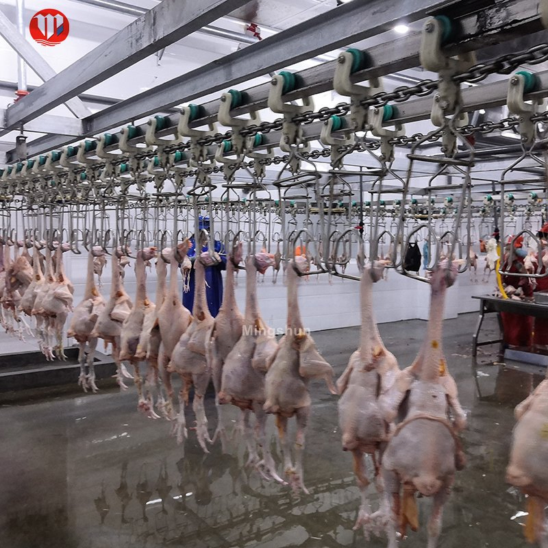 Stainless Steel 304 Chicken Processing Line - High Efficiency Labor Saving