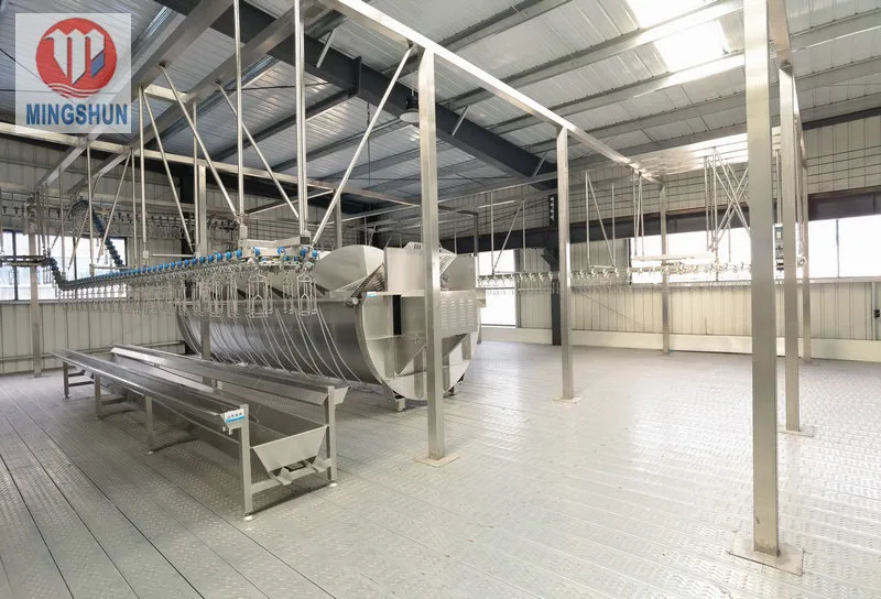 Chicken Processing Photo 2