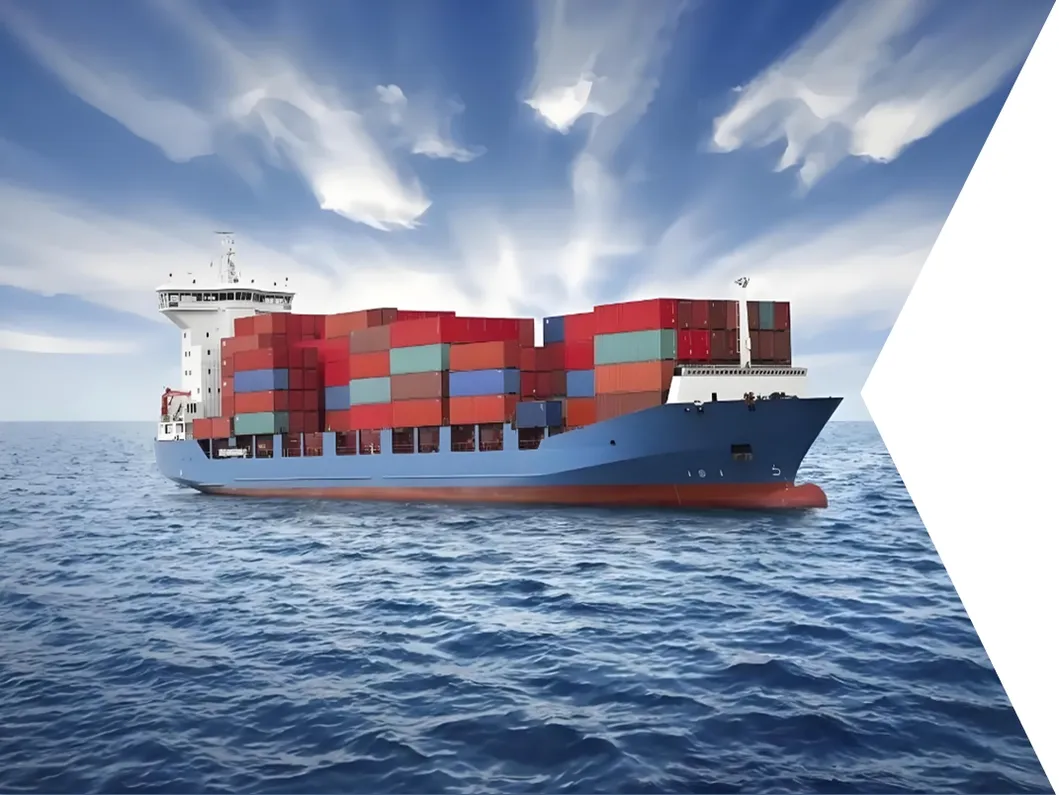 LCL Sea Freight Shipping