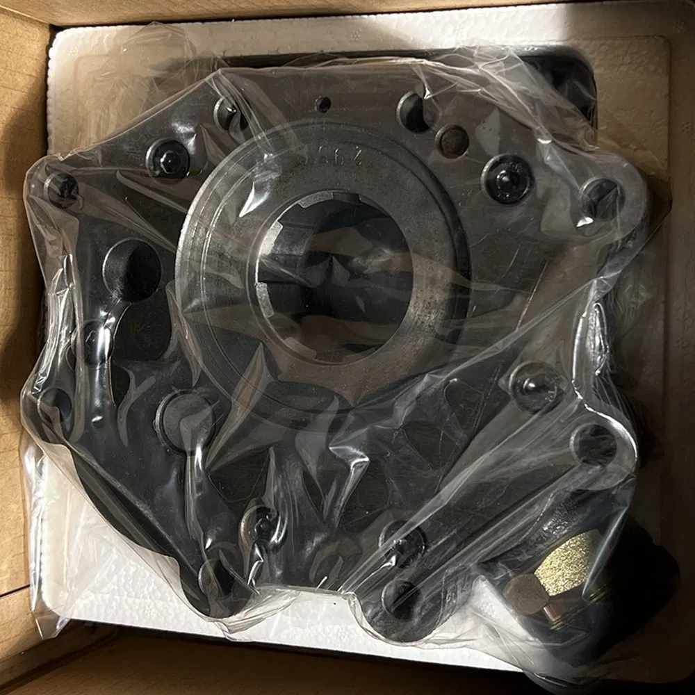 2BS315.30.2 803004322 860302480 Japan China Chinese Variable Speed Pump Assembly