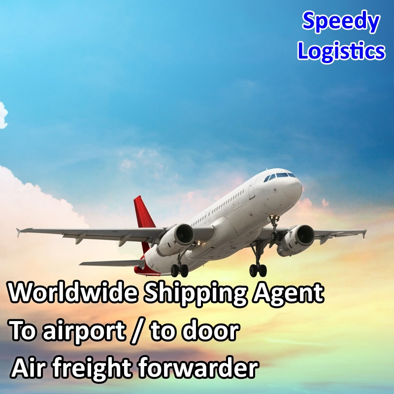 Sea Cargo Shipping Agent Freight Forwarder Shipping to UK, USA, Spain, Dubai, Qatar, Benin, Botswana International Shipping Company Logistics Service